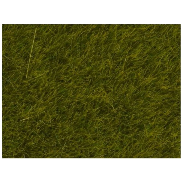 Strgrs - Vildtgrs - Eng, 50 gram