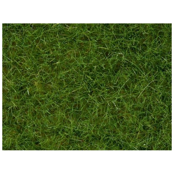 Strgrs - Vildtgrs - helgrn, 50 gram