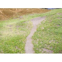 Gras-Master 3.0 PROFI LIMITED EDITION