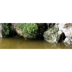 Still Water (stille vand), 200 ml