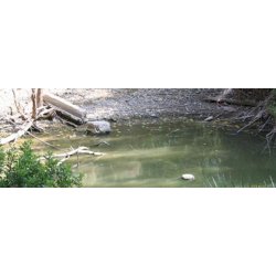 Still Water (stille vand), 200 ml