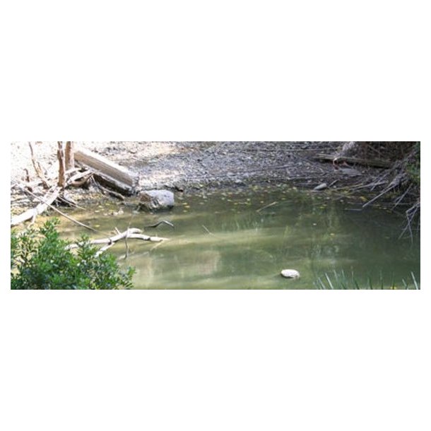 Still Water (stille vand), 200 ml