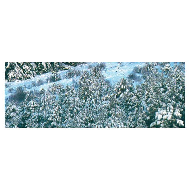 Foam Snow (Hav skumtop hvid), 32 ml