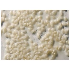Gel Base, 200 ml