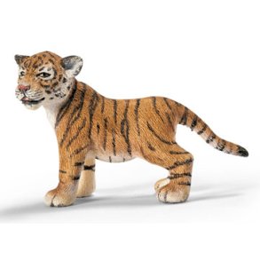Tiger Unge