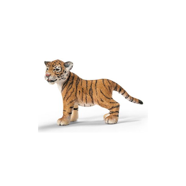 Tiger Unge