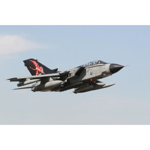 Tornado IDS/ECR Special Colors
