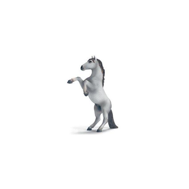 Mustang, Hvid