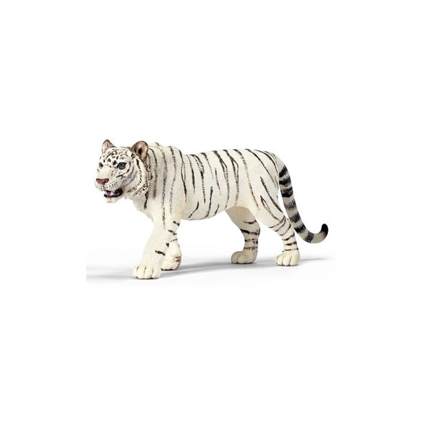 Hvid Tiger