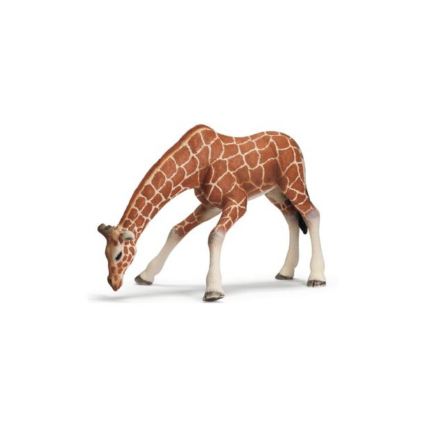 Giraf Hun