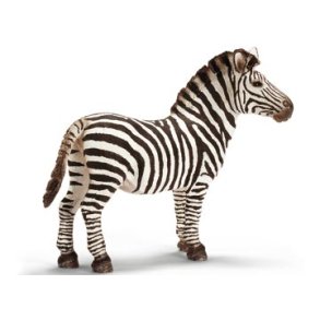 Zebra Han
