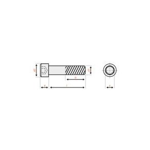 Rustfri bolt, indv. sekskanth. DIN 912 - 2 x 16 mm, 10 stk.