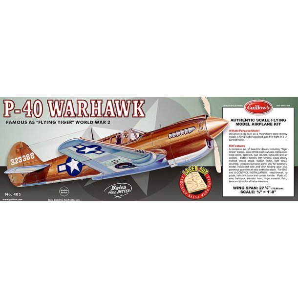 Curtis P-40 Warhawk