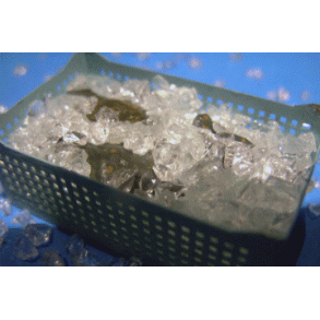 Is til 5 fiskekasser