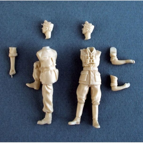 Camionetta AS 42 Sahariana