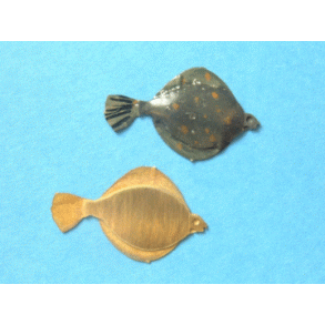 Fladfisk, 5 stk. Skala 1/40 - 1/50