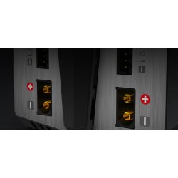 SkyRC T100 DUAL LiPo/LiIon/LiFe/LiHV/NiMH/Pb 5A 2x50W 100-240 V