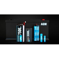 SkyRC T200 DUAL LiPo/LiIon/LiFe/LiHV/NiMH/Pb 12A 2x100W 100-240 V