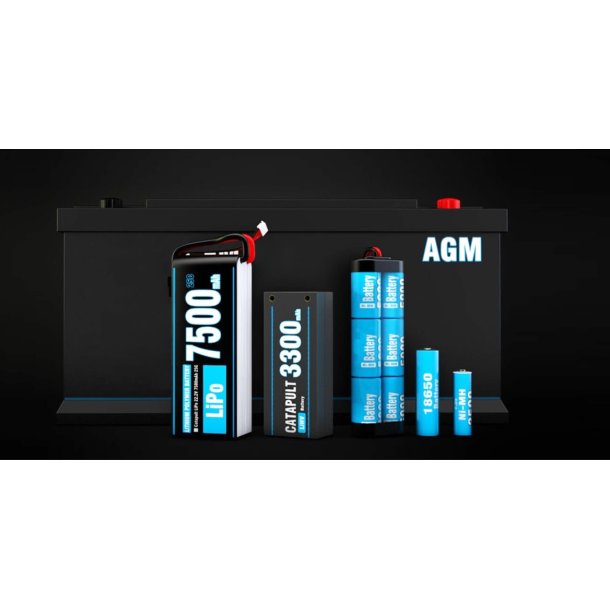 SkyRC T200 DUAL LiPo/LiIon/LiFe/LiHV/NiMH/Pb 12A 2x100W 100-240 V