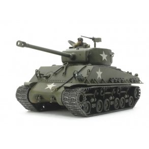 Amerikansk blte 1/48