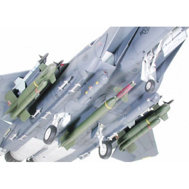 Boeing F-15E Strike Eagle Bunker Buster