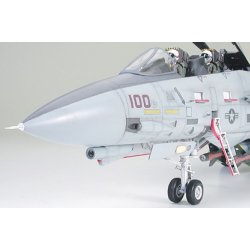 F-14A Tomcat Black Knights