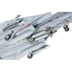 F-14A Tomcat Black Knights