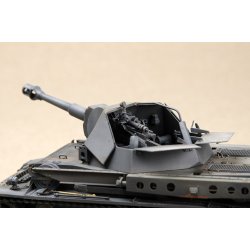 Heuschrecke IVb &acute;Grasshopper&acute;