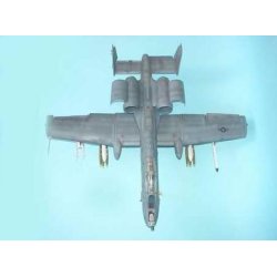 A-10A Thunderbolt N/AW