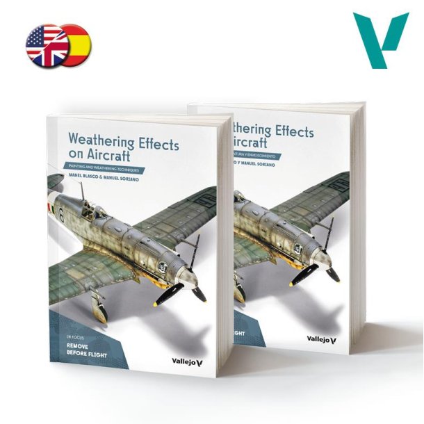 Weathering Effects on Aircraft